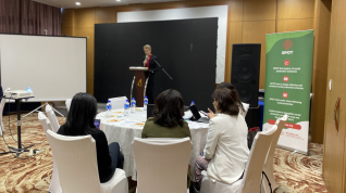 Presenter at workshop on SPOT Social Protection Simulator in Mongolia